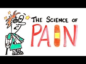 http://alextv.net/the-science-of-pain-3ejP1tnSxca5ttQ.html
